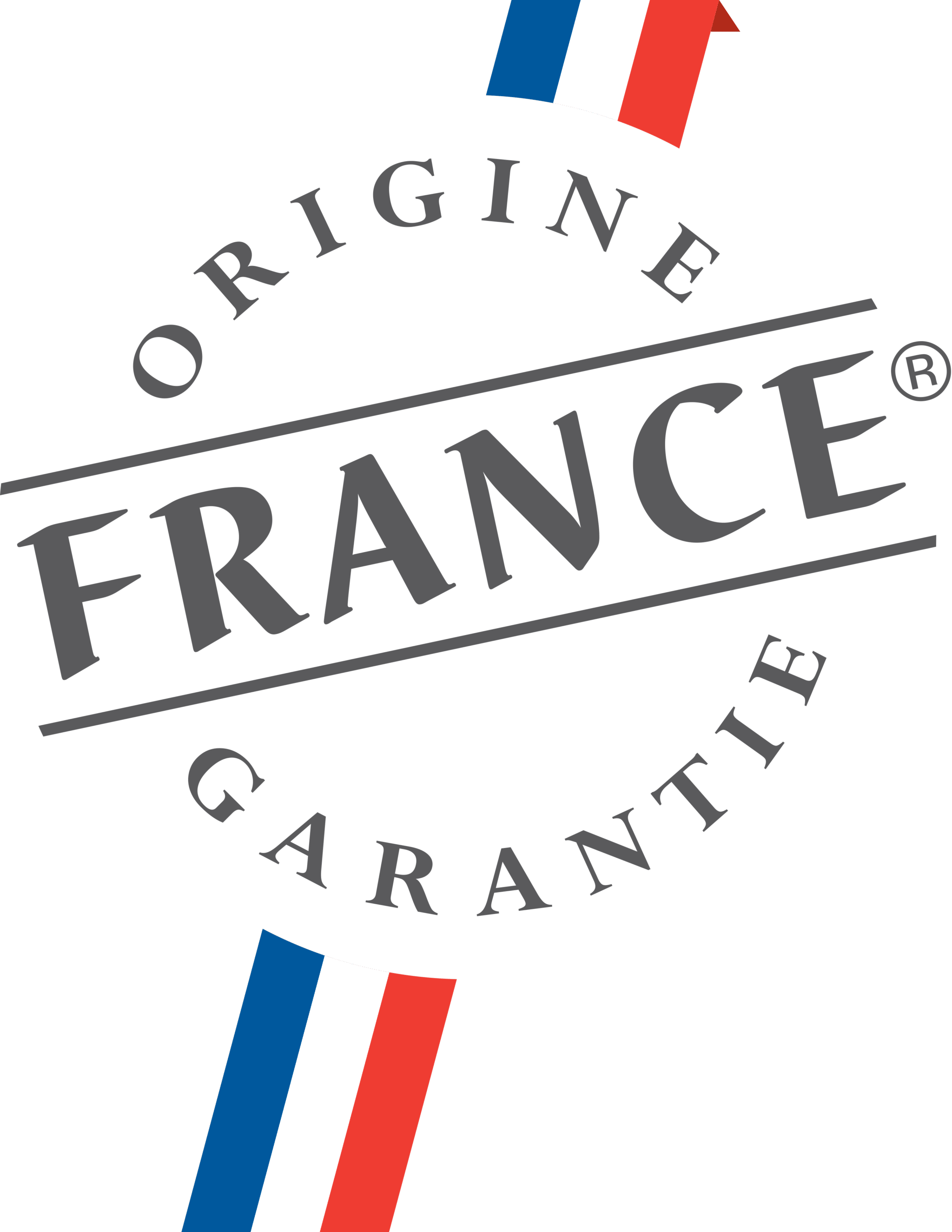 Picto origine France